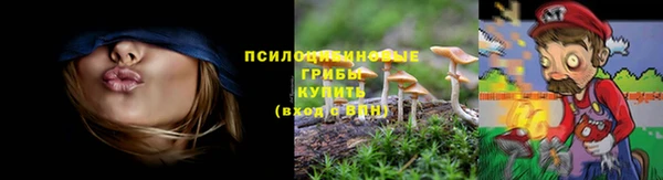 гидропоника Надым