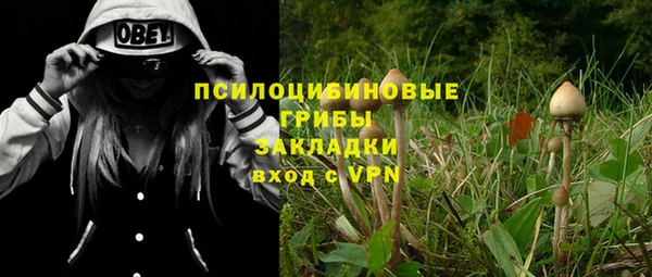 индика Нефтегорск