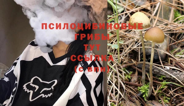 Альфа ПВП Навашино