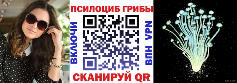Псилоцибиновые грибы ЛСД  закладка  Новопавловск 