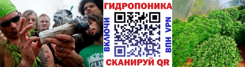 Канабис марихуана  Новопавловск 